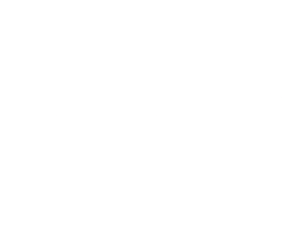 TAOASIS logo